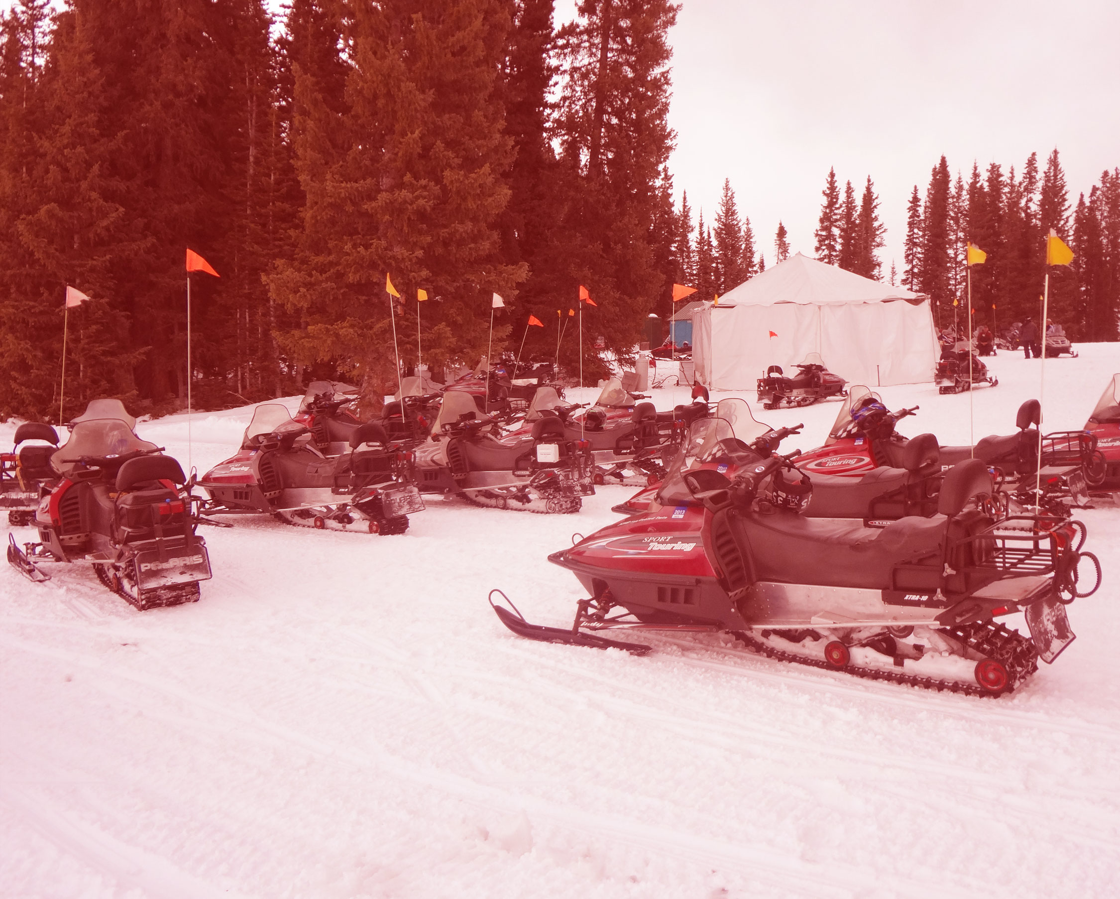 Lots of snow mobiles sit idled while everyone is enjoying Bare Assets Last Minute Bachelor Parties
